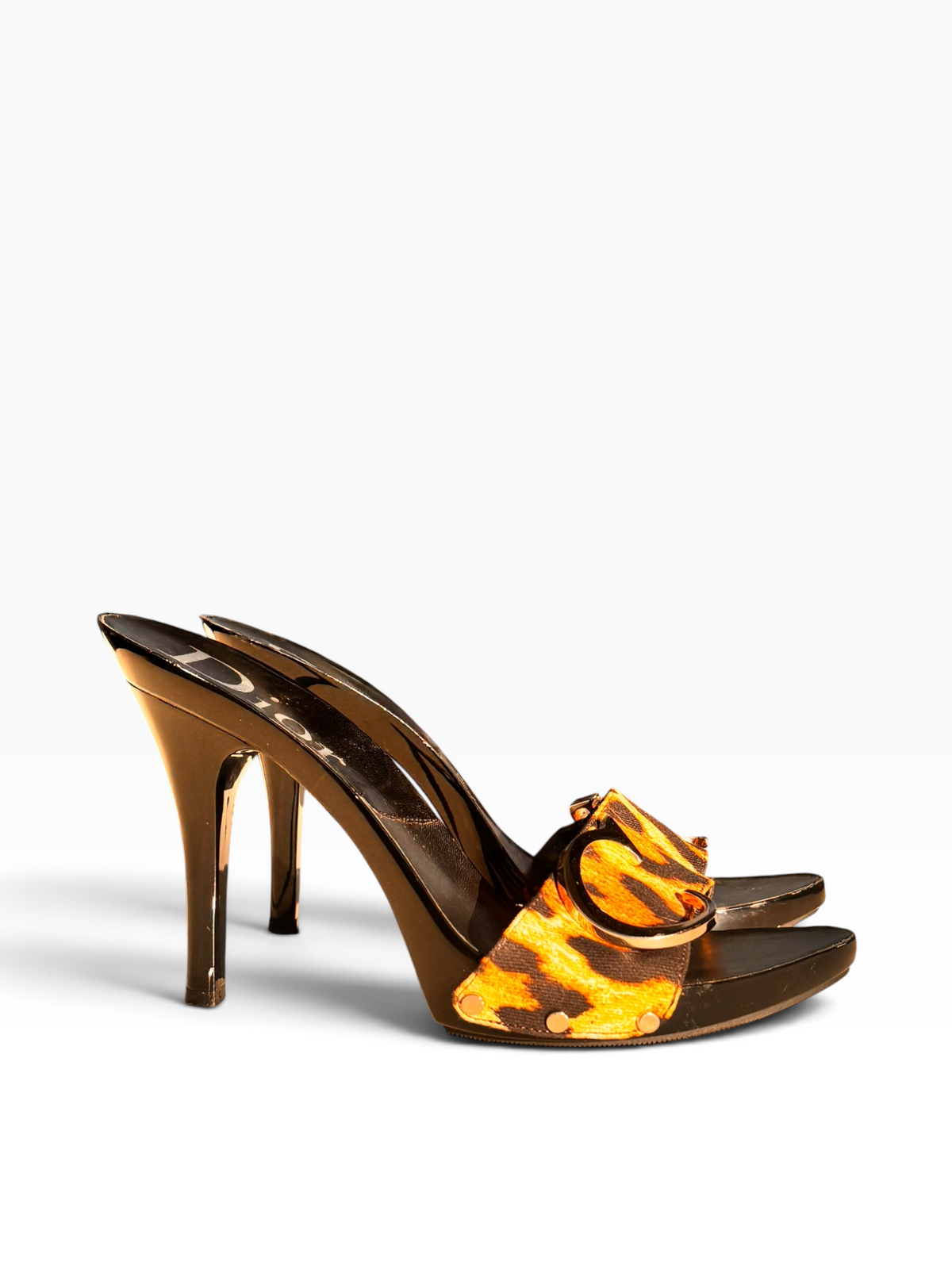 Dior Galliano Leopard Logo Heels
